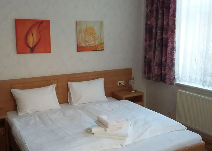 Hotel - Vesta Bad Elster