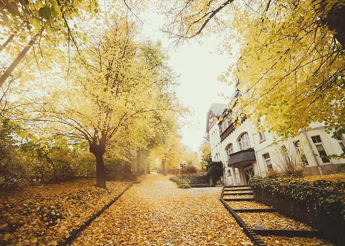 - Vesta Hotel Bad Elster